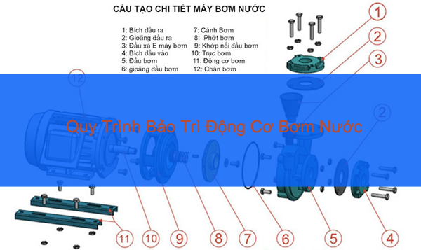 Quy trình bảo trì động cơ bơm nước